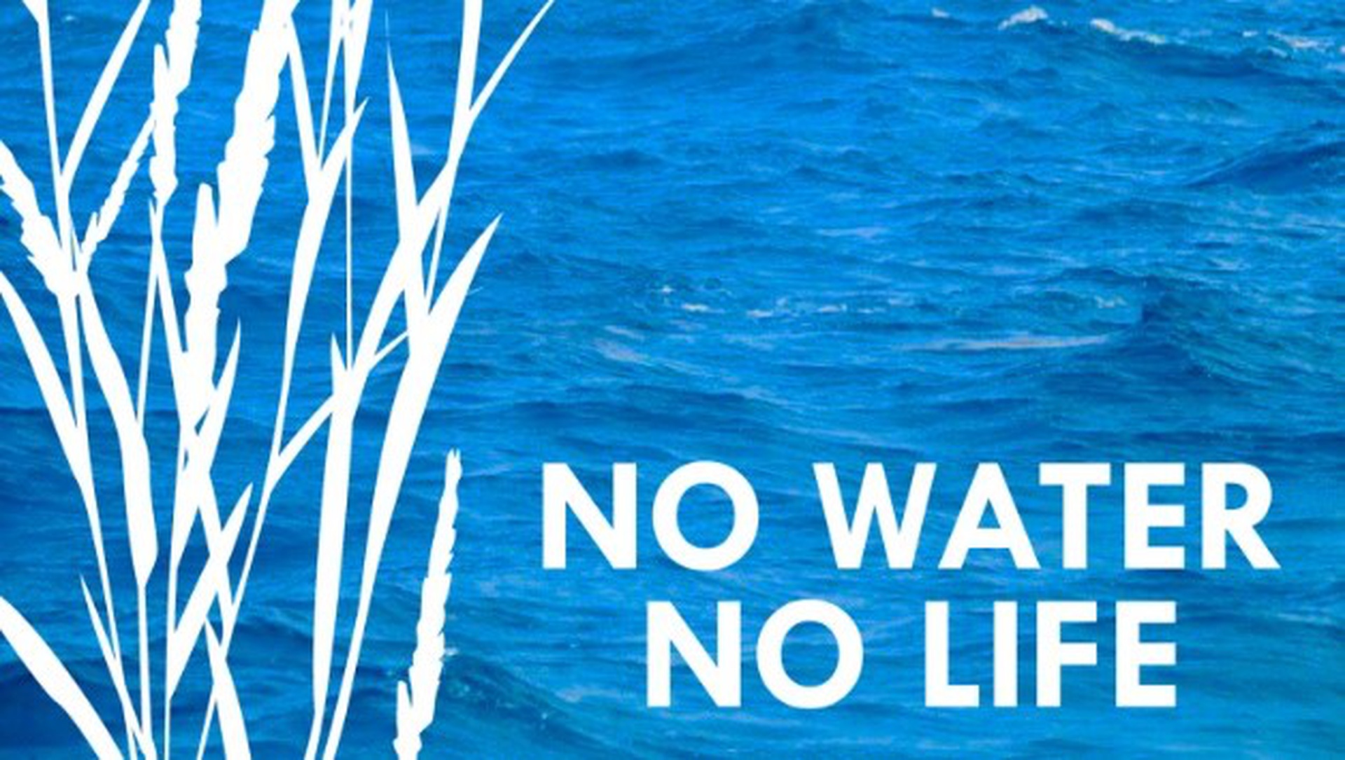 Can Water Dispensers Get Mold? SurfsunHome Appliances Manufacturing